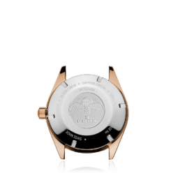 ساعت ادکس ( EDOX) مردانه  زنانه SKYDIVER